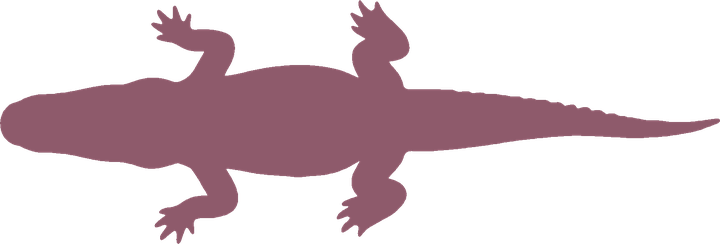 Crocodata logo